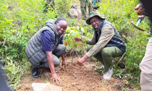 Cabinet Secretary for Environment Climate change and Forestry Dr.Deborah M. Barasa , Ps forestry Mr.Gitonga Mugambi headspear Community lead Maragoli Hills in Vihiga county restoration on International Day of Forests 2026. #JazaMitiJengaMaisha