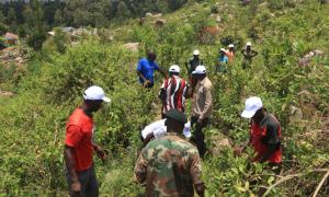 Forest officers, community members, and stakeholders come together to plant trees at Maragoli Hills, Vihiga County—driving a vibrant, community-led restoration effort in celebration of International Day of Forests 2026. #JazaMitiJengaMaisha
