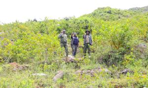 Cabinet Secretary for Environment, Climate Change and Forestry, Dr. Deborah M. Barasa, alongside PS Forestry Mr. Gitonga Mugambi and Dr. Boniface Barasa Makokha, pose after successfully spearheading a community-led restoration initiative at Maragoli Hills, Vihiga County, during International Day of Forests 2026. #JazaMitiJengaMaisha