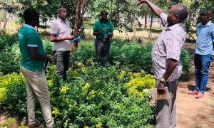 Assessment of the Marigat KEFRI Seed Centre