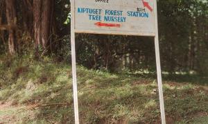 Assessment of the Kiptuget Forest Station Nursery