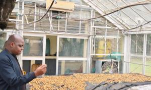 Kitui KEFRI Seed centre 