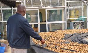 Kitui KEFRI Seed centre 