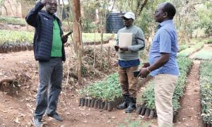 Maralal Forest Station Tree Nursery