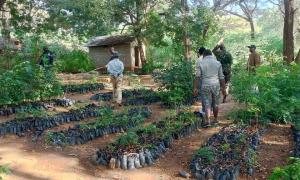 Assessment of Tree Nursery Infrastructure and Capacity at South Horr Forest Station Marsabit County 